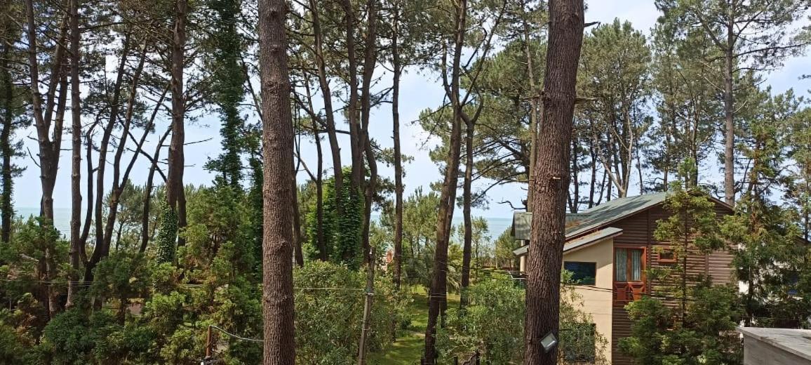 Pine Aparthotel Shekhvetili Exterior foto